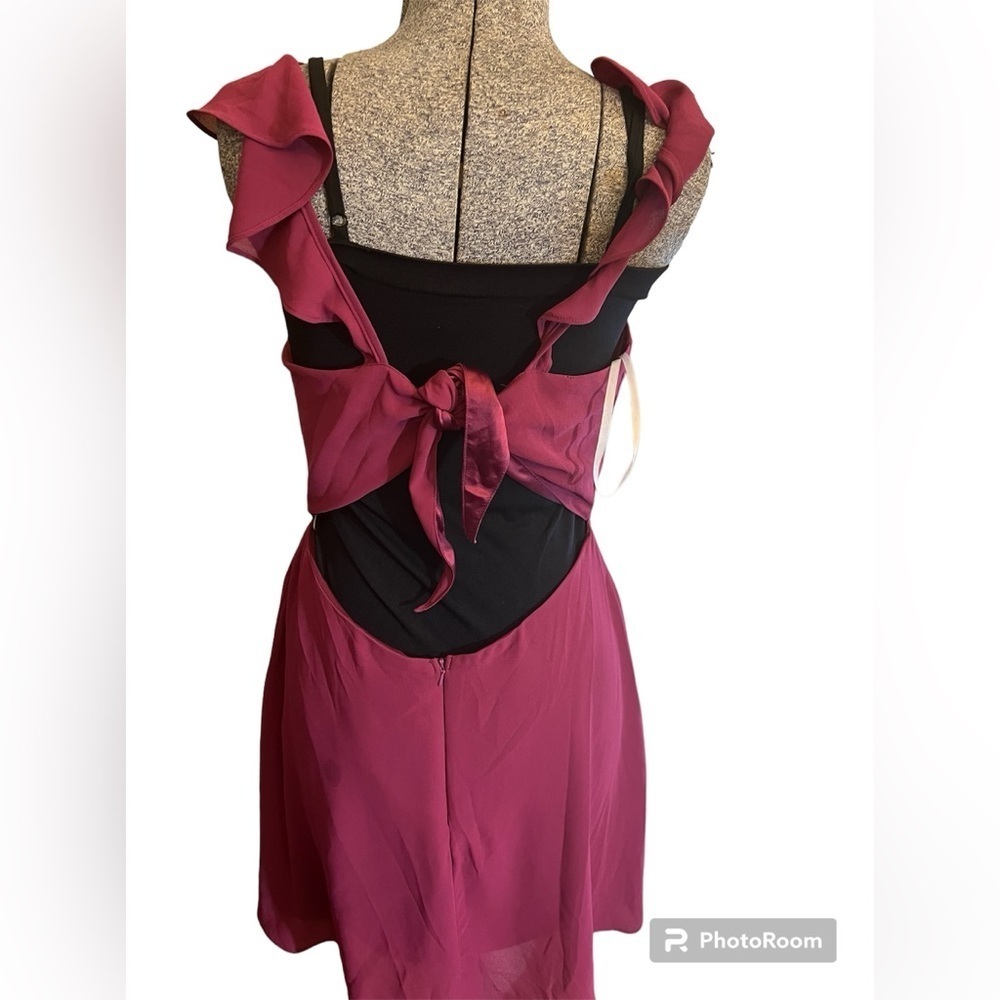 Minuet Petite Fit & Flare Ruffle Dress Pink | Large | New With Tags - Picture 4 of 13